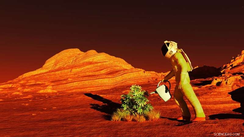 Growing Food on Mars: Sustainable Agriculture for a Future on the Red Planet