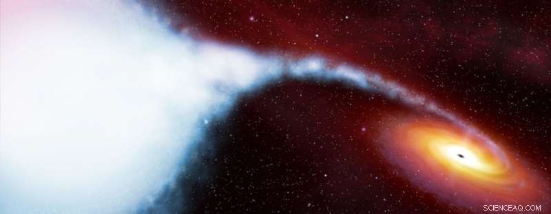 X-ray Imaging Reveals Previously Hidden Material Around Black Hole