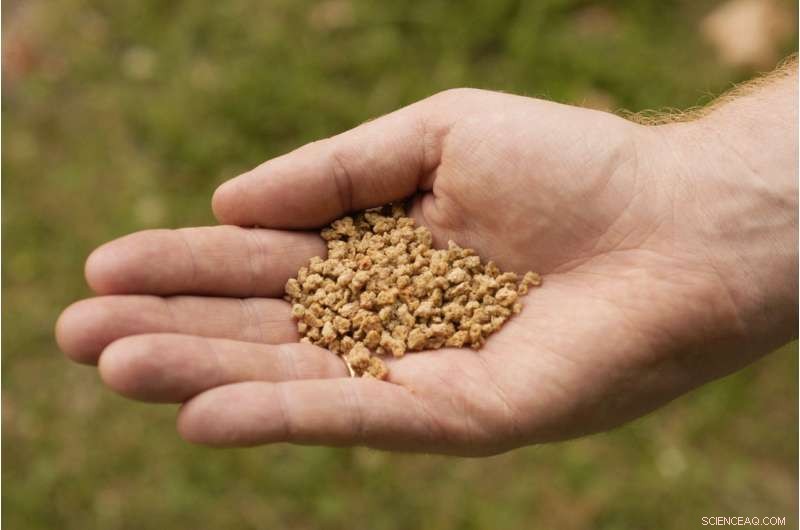 Spectacular Perseid Meteor Shower Forecasted for August 12–13