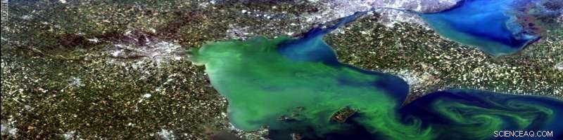 HICO s Enduring Impact: Advancing Coastal Research with Hyperspectral Imaging