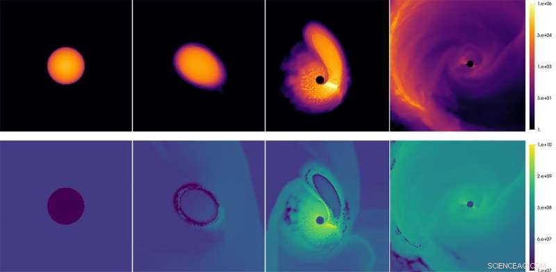New Black Hole Findings Unveiled by College of Charleston Researcher