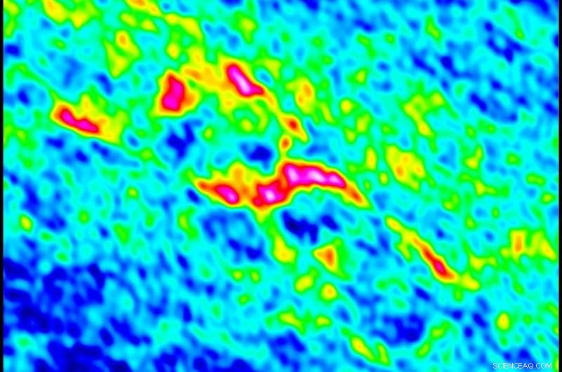 Newly Formed Star Illuminates the Early Stages of Planet Formation
