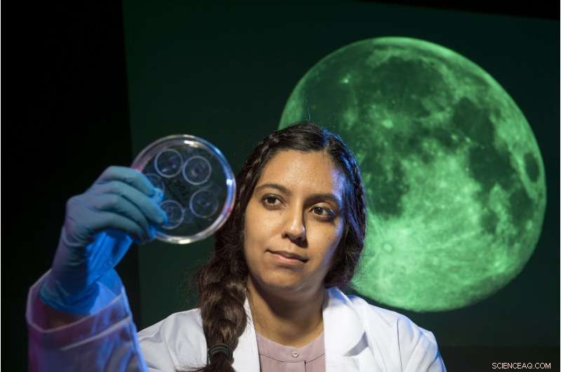 Lunar Swirls Reveal Moon’s Volcanic and Magnetic History