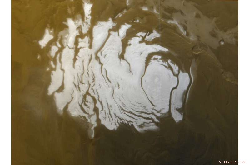 Could Life Thrive in Mars’ Subglacial Saltwater Lake? Insights from a Planetary Scientist