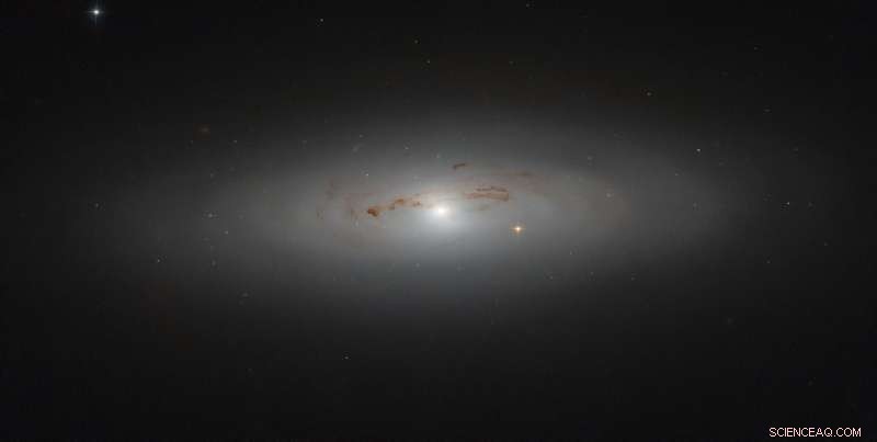 Hubble Reveals Dusty Veil of Distant Galaxy NGC 4036