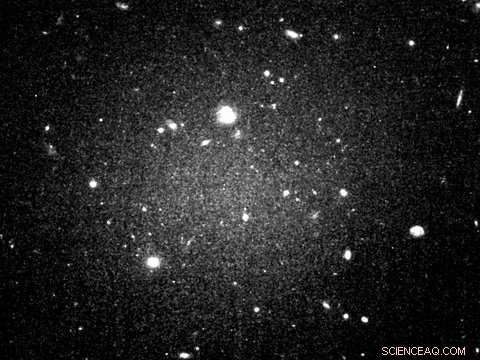 Reviving a Debunked Gravity Theory: Insights from Dwarf Galaxy Dynamics