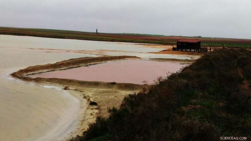 Candy-Pink Lagoon Reveals Salt‑Rich Habitat That Could Support Life on Mars