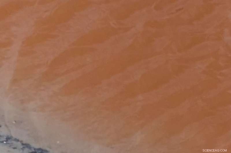 Candy-Pink Lagoon Reveals Salt‑Rich Habitat That Could Support Life on Mars