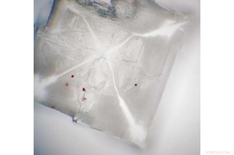 Candy-Pink Lagoon Reveals Salt‑Rich Habitat That Could Support Life on Mars