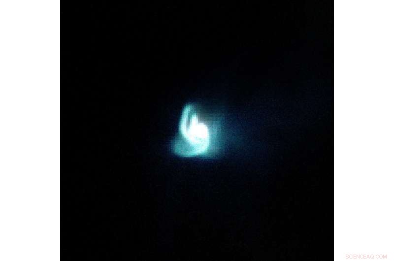 Exploring the Cosmos: Hunting for Primordial Black Holes