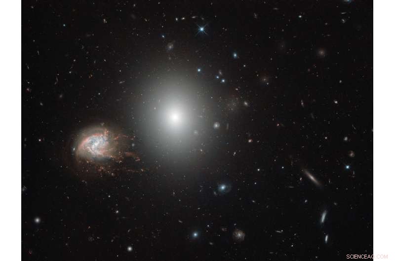 Hubble Reveals Galaxies with Knots and Star‑forming Bursts in the Coma Cluster
