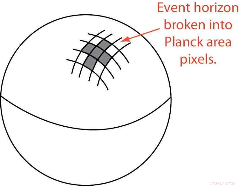 Unveiling Black Hole Microstructure Through Thermodynamic Analysis
