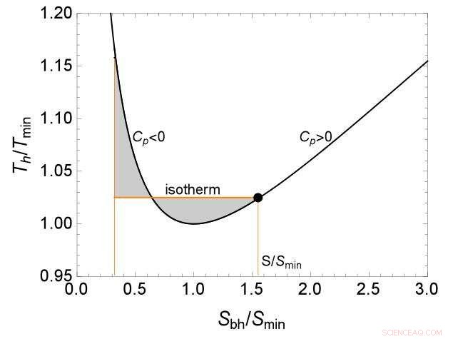 Unveiling Black Hole Microstructure Through Thermodynamic Analysis