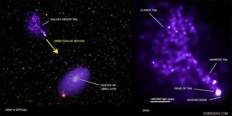 Decoding the Head or Tail of a Galactic Landscape with Chandra X‑ray Imaging