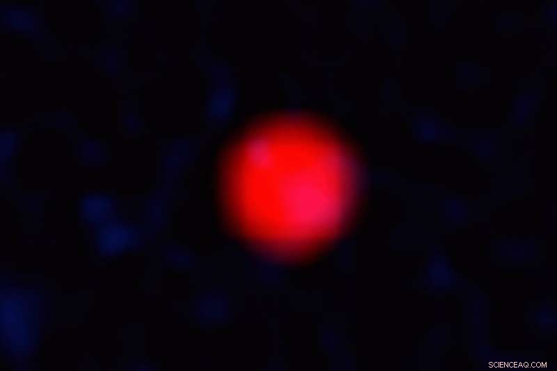 VLA Survey Discovers First Orphan Gamma‑Ray Burst