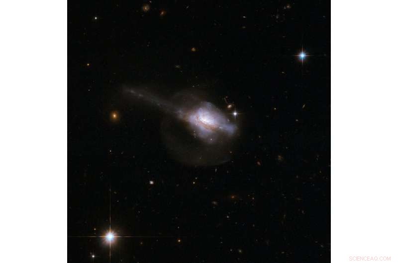 How AGN Activity Drives Star Formation in Merging Galaxies