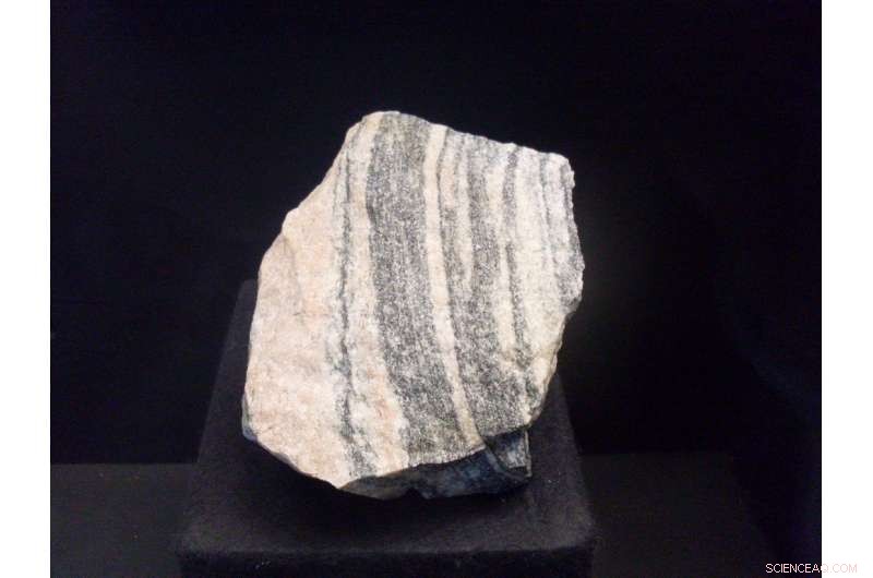 Geology Reveals How Catastrophic Events Shaped Evolutionary Bottlenecks and Life