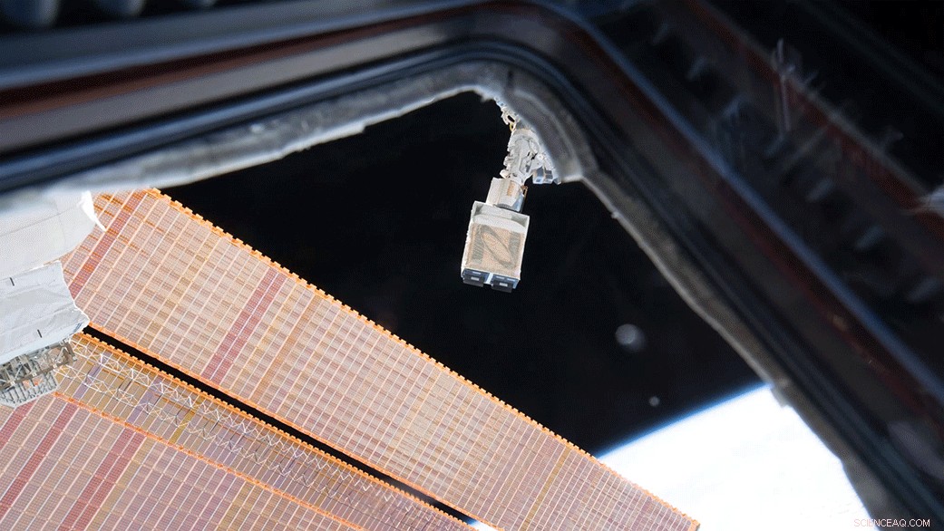 Dellingr: The Compact CubeSat Revolutionizing Space Science