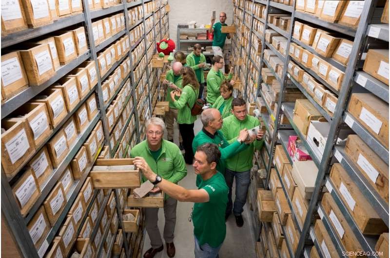 Explore Global Minerals: A Unified Journey of Discovery