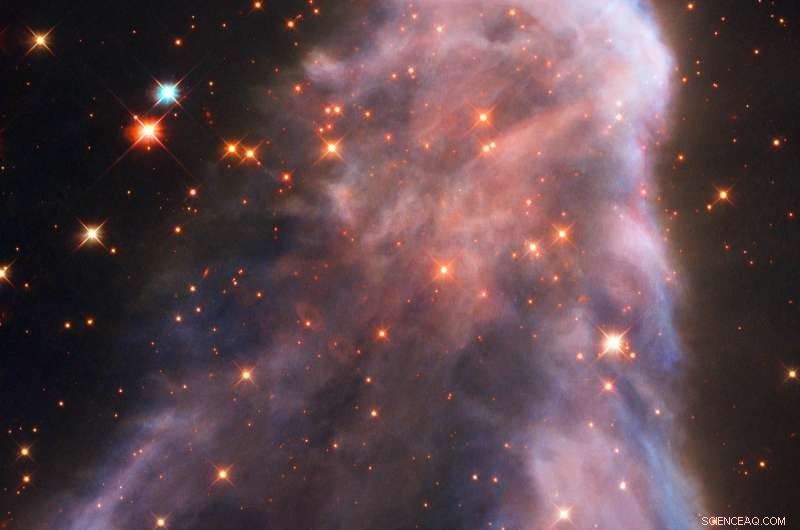 IC 63: The Ghost Nebula of Cassiopeia