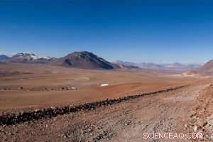 How Martian Dust Storm Electricity Generates Perchlorates