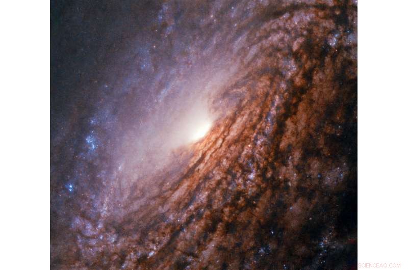 Hubble Captures Stunning Image of Bright-Core Spiral Galaxy NGC 5033