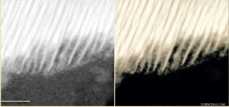 Natural Electrochemical Reactions May Drive Organic Carbon Formation on Mars