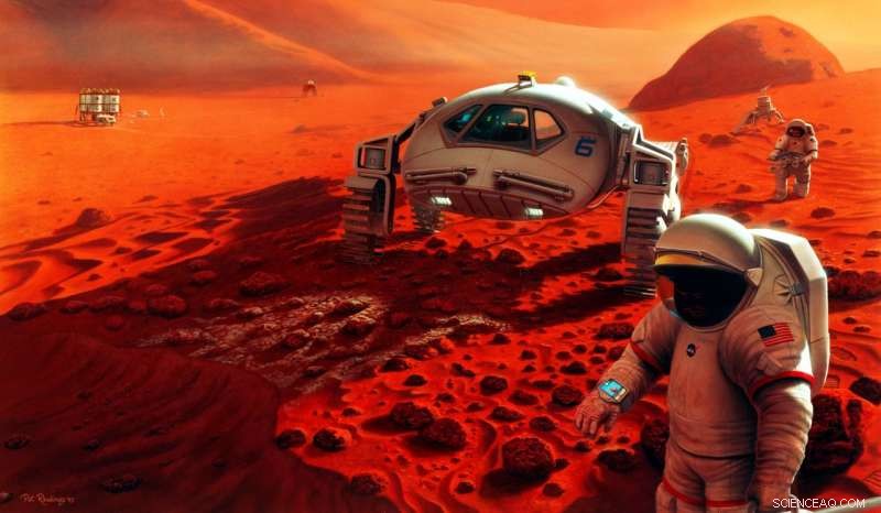 Mars Colonization Threatens Contamination: How to Confirm the Planet s Native Life