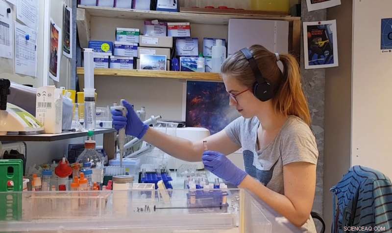 Antarctic Stations Brace for Winter, Urging Fresh Supplies