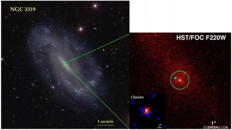 NGC 3319 Likely Harbors an Active Intermediate‑Mass Black Hole, New Research Reveals