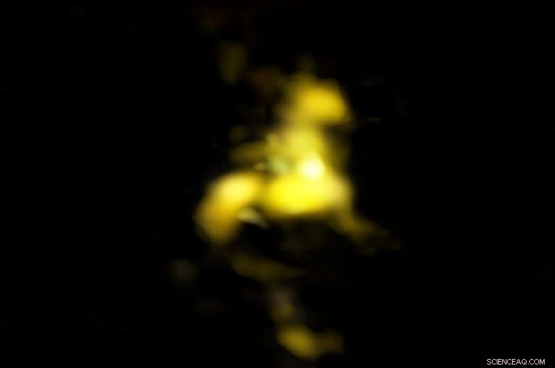 Galaxy-Scale Fountain Observed in Stunning Detail