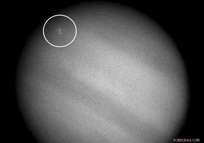 Exploring the Diverse Atmospheric Dynamics of Jupiter’s Great Red Spot