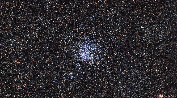 Exploring the Aging Stars of the Wild Duck Cluster