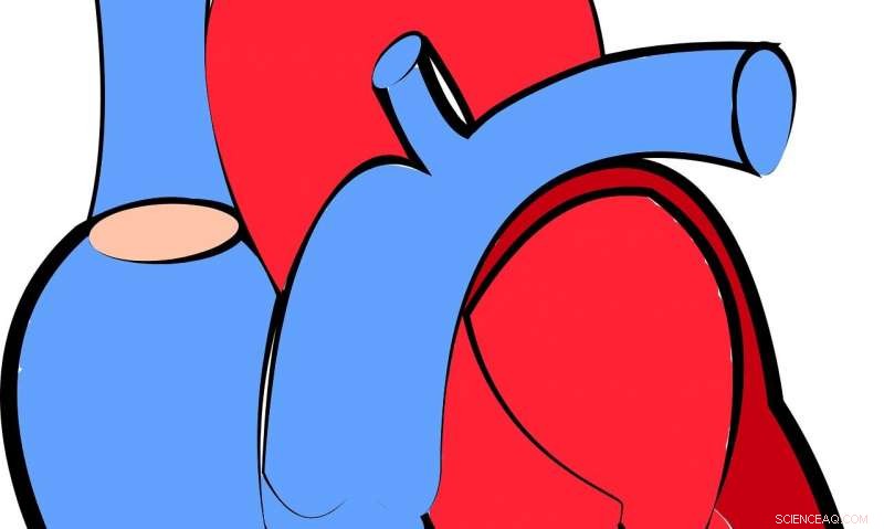 Google AI Detects Heart Disease Risk from Retinal Images