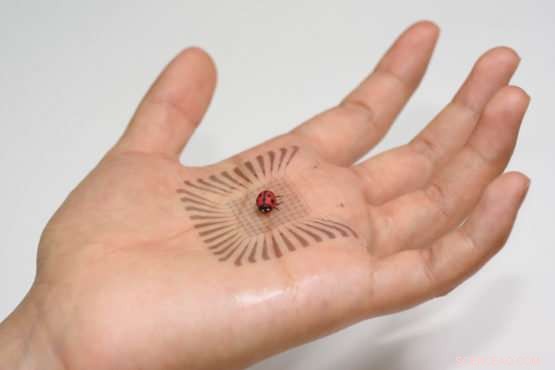Researchers Unveil Stretchable, Touch-Responsive Electronics