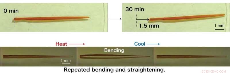 Soft Robotic Crystals Mimicking Inchworm Movement