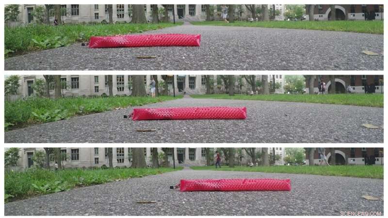 Kirigami‑Driven Snake‑Inspired Robot Achieves Ground‑Gripping Movement