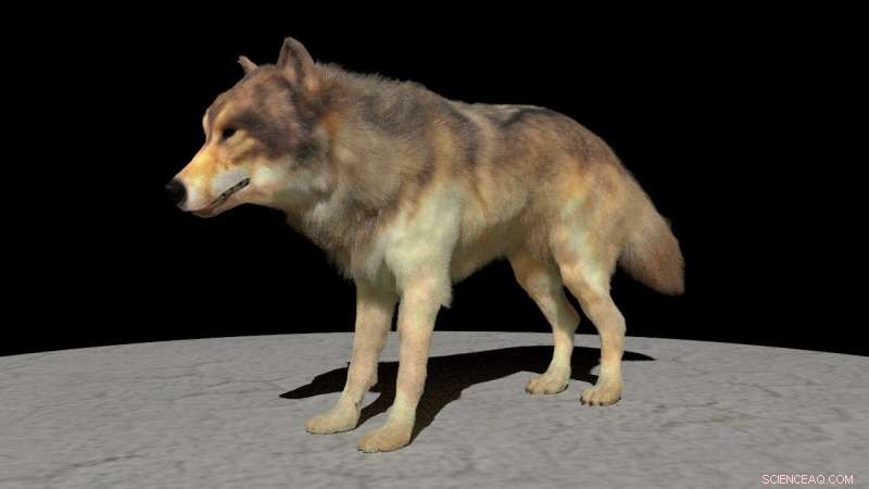 Scientists Revolutionize CGI with Realistic Animal Fur Rendering