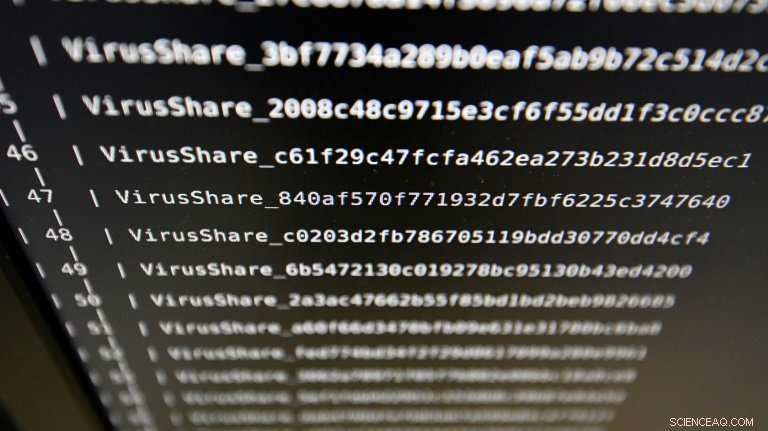 Ukraine Detains Key Avalanche Cybercrime Organizer, Police Confirm