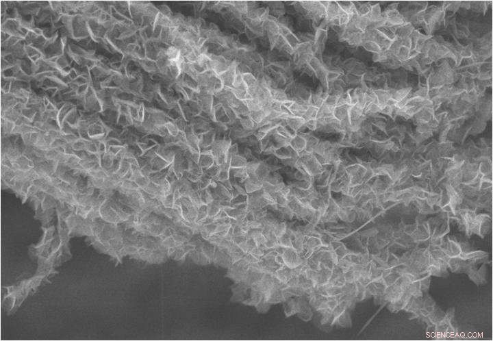 Nature-Inspired Design Enhances Supercapacitor Electrodes for Superior Performance