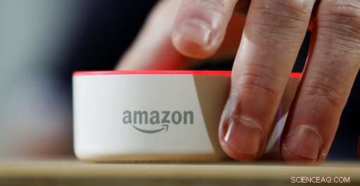 Less Is More: Companies Embrace Voice Shopping