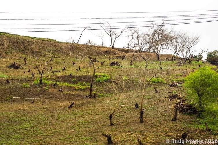 The Hidden Health Threat: A Nuclear Attack on North Korea Could Trigger a Global Cancer Surge