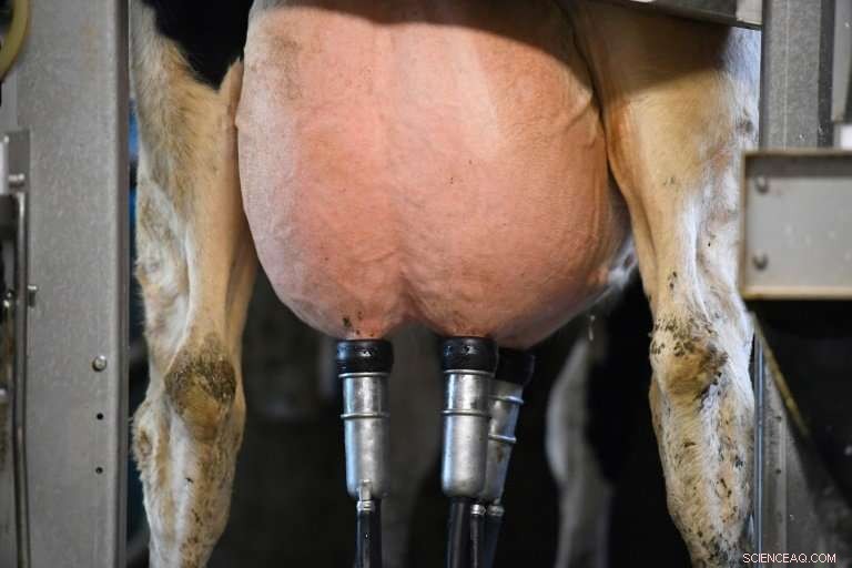 5G Surge: Telecom Equipment Makers Prepare for a Billion-Dollar Boom