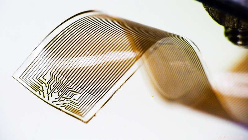 Revolutionary Soft Electronics Enable Long‑Term Brain Signal Capture