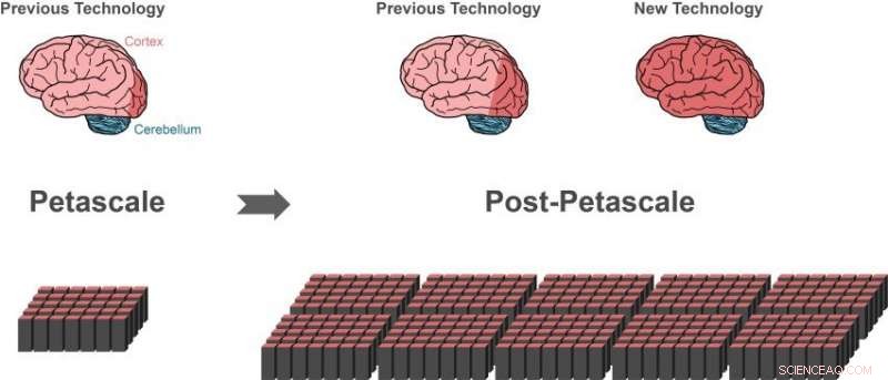 New Algorithm Enables Large-Scale Brain Simulations