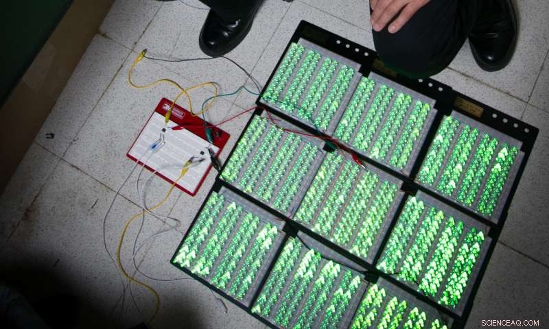 Breakthrough Discoveries Promise Self‑Powered Low‑Energy Devices