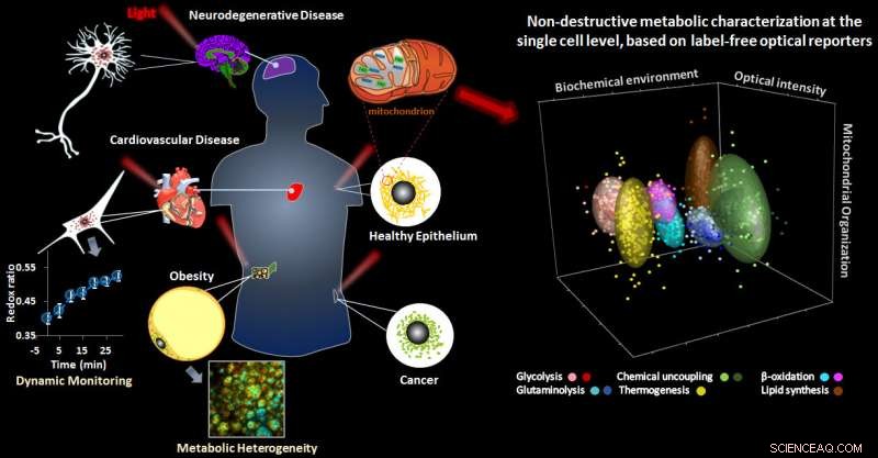 Cutting‑Edge Optical Sensors Detect Disease‑Linked Metabolic Shifts