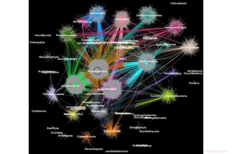 Supercomputers Revolutionize Metagenomic Clustering for Rapid Protein Family Identification