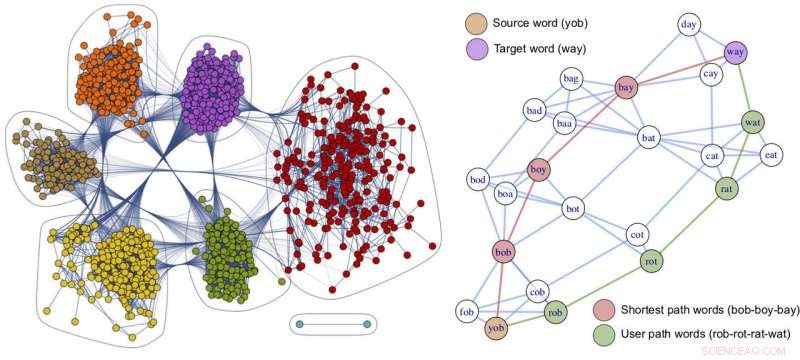 Explore an Open Dataset of Human Navigation Strategies Across Global Networked Systems