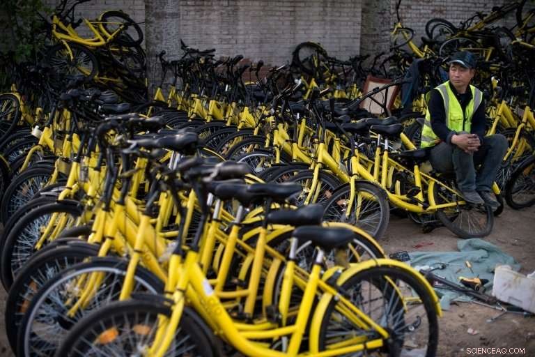 Ofo Secures $850M in Funding to Expand Bike-Share Operations Worldwide